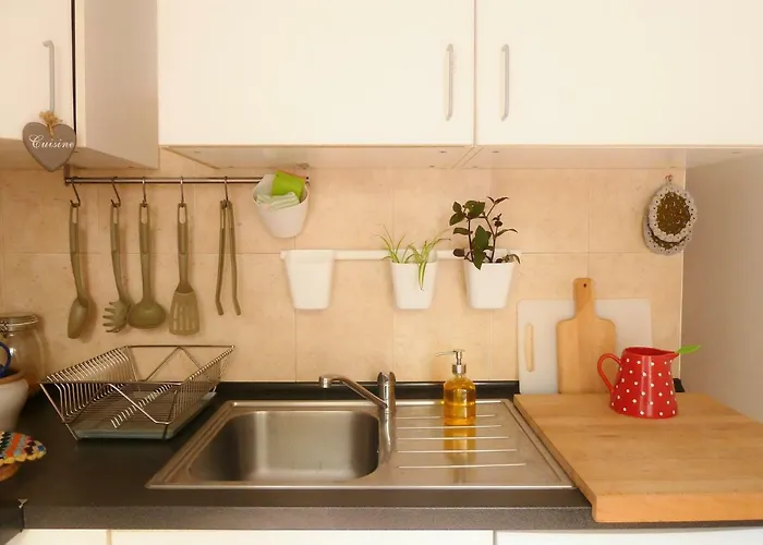 Charming Garden Duplex Historic Centre Lägenhet